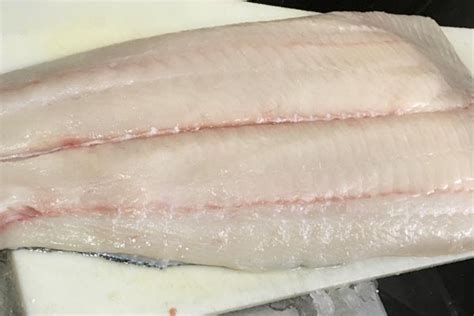 Yummy! 5lbs of Alaskan Halibut Fillets. Send to a loved one today! Halibut is here folks! Orders can not ship the same day they are placed. Orders ...